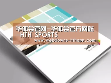 项目名称九