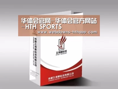 项目名称十三