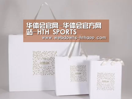 项目名称十一