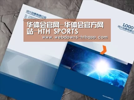 项目名称十