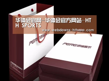 项目名称十二