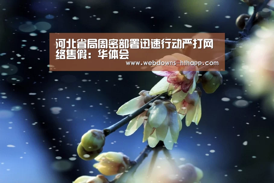 河北省局周密部署迅速行动严打网络售假:华体会(图2) 华体会体育