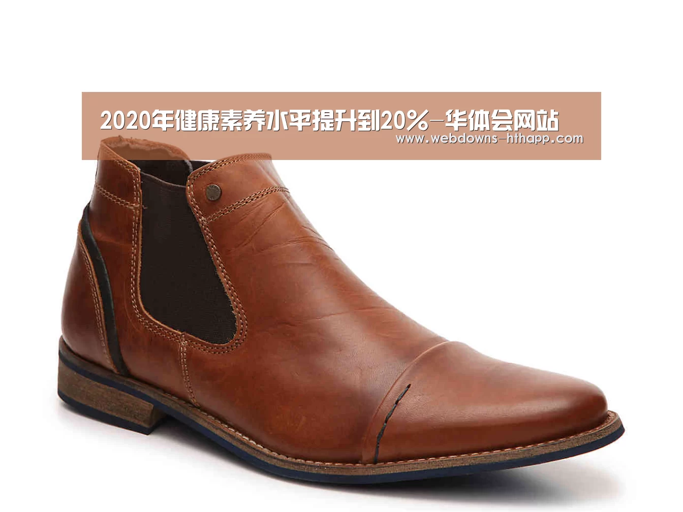 华体会网站