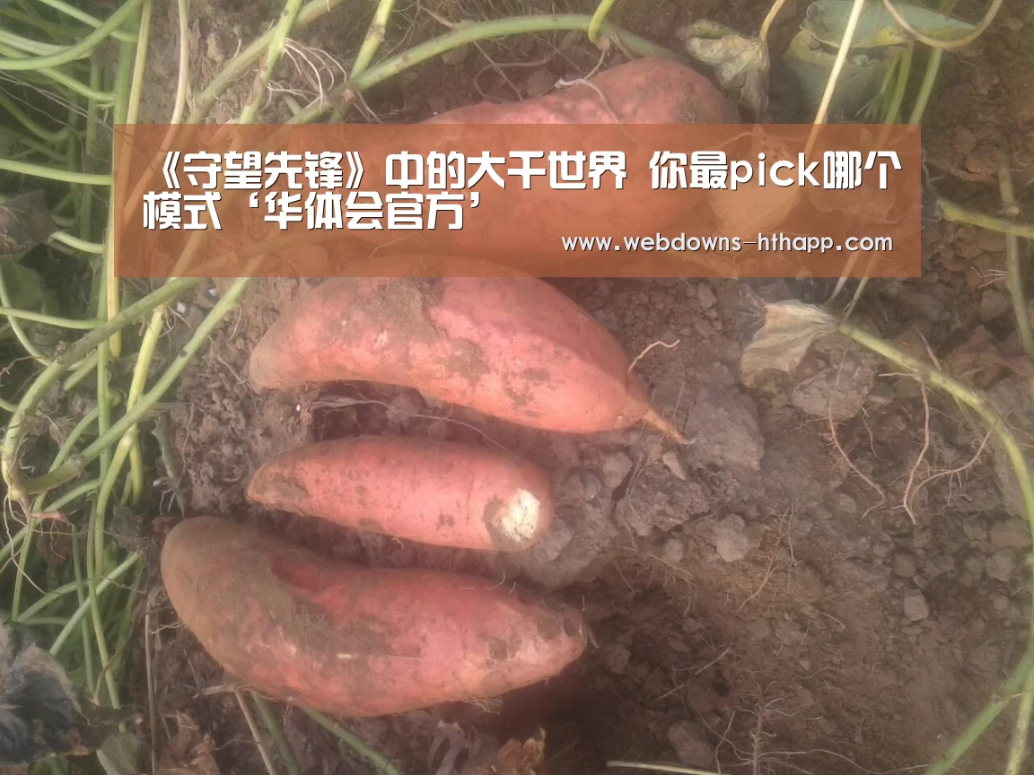 《守望先锋》中的大千世界 你最pick哪个模式‘华体会官方’(图1) 华体会官方