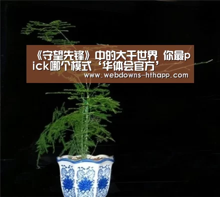 《守望先锋》中的大千世界 你最pick哪个模式‘华体会官方’(图2) 华体会体育