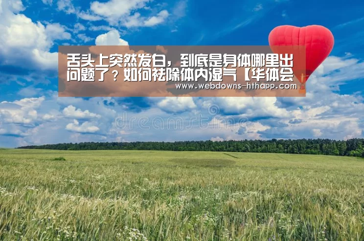 华体会体育