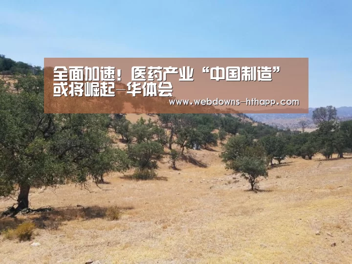 全面加速!医药产业“中国制造”或将崛起-华体会(图2) 华体会官方