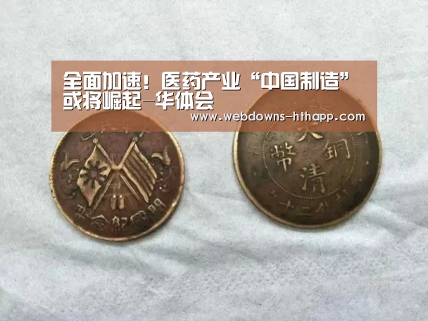 全面加速!医药产业“中国制造”或将崛起-华体会(图4) 华体会体育