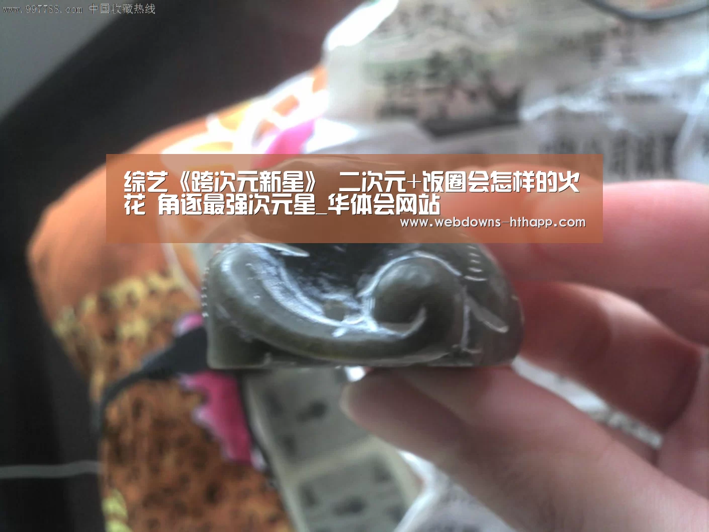 综艺《跨次元新星》 二次元+饭圈会怎样的火花 角逐最强次元星_华体会网站(图4) 华体会体育