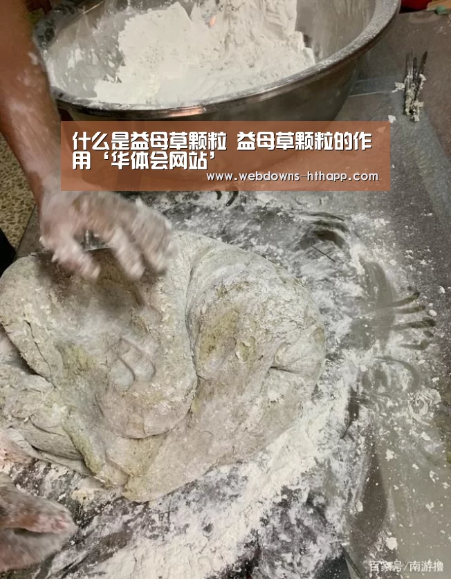 华体会