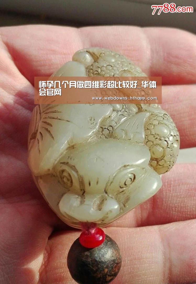 华体会官方