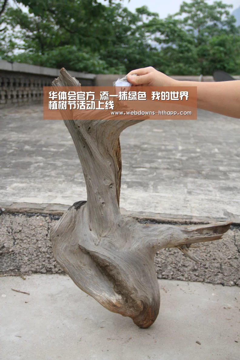 华体会官方_添一抹绿色 我的世界植树节活动上线(图2) 华体会体育