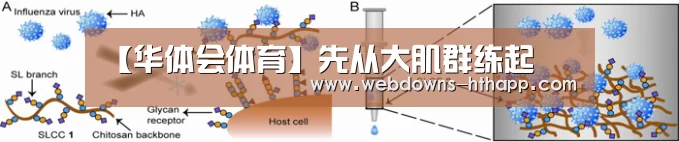 【华体会体育】先从大肌群练起(图1) 华体会官方